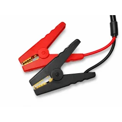 LiFePO4 50A Ladegerät für 12.8V Lithiumbatterien mit Klemmen