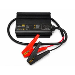 Caricabatterie LiFePO4 50A per batterie al litio 12.8V con pinze