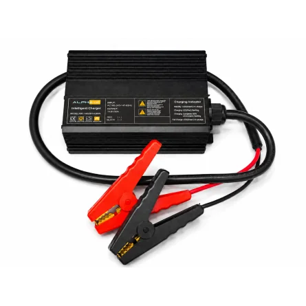 LiFePO4 50A Ladegerät für 12.8V Lithiumbatterien mit Klemmen