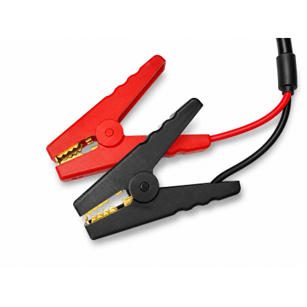 Caricabatterie LiFePO4 30A per batterie al litio 12.8V con pinze