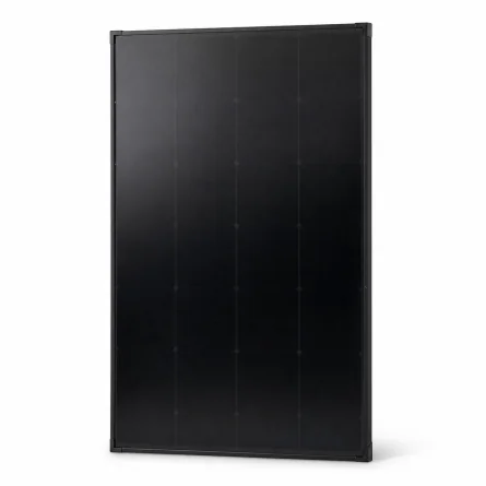 Starres monokristallines Solarmodul 200W
