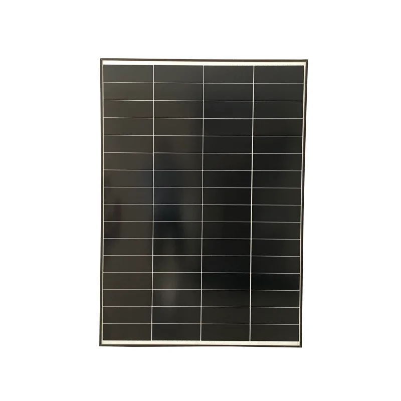 Panel solar monocristalino rígido 170W