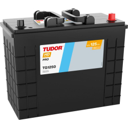Tudor HD PRO TG1250 12V 125Ah 760A, 349 × 175 × 285 mm, Positivo a la derecha