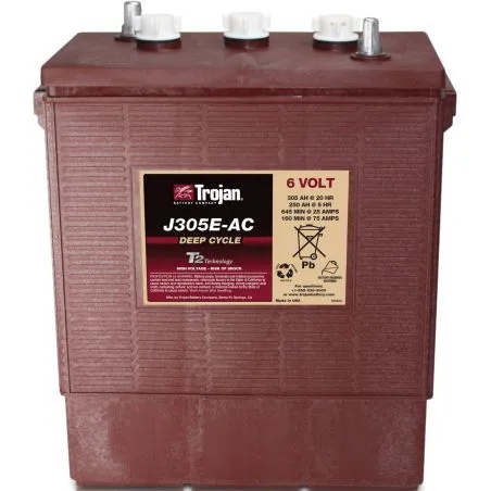 Batterie Trojan J305E-AC