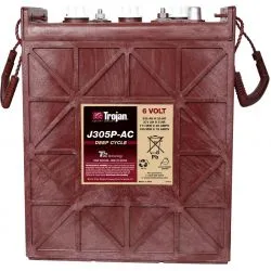 Batterie Trojan J305P-AC