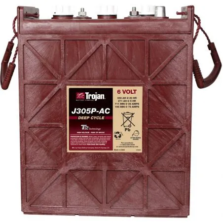 Batterie Trojan J305P-AC