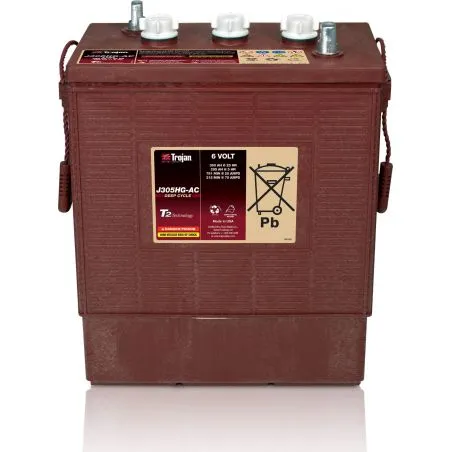 Batterie Trojan J305HG-AC