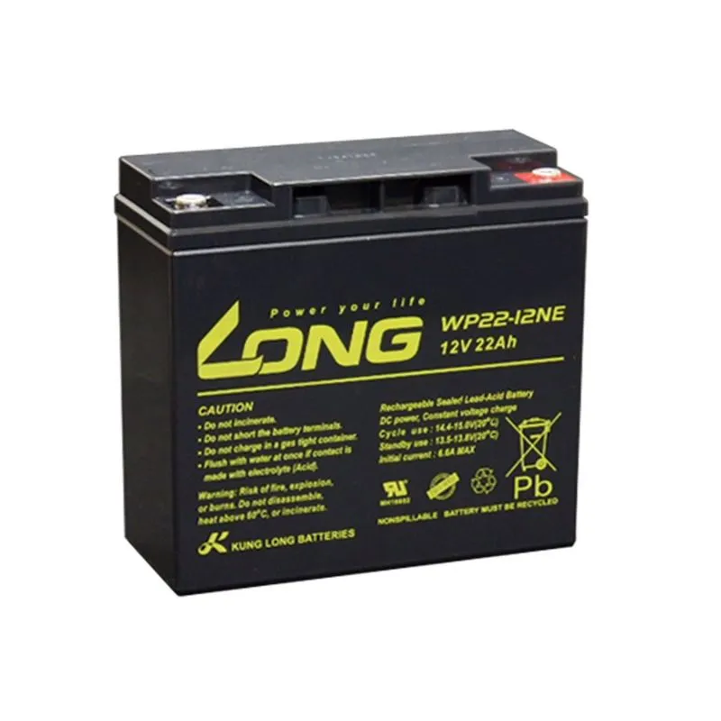Batería de Plomo-Ácido AGM 12V 22Ah LONG WP22-12NE