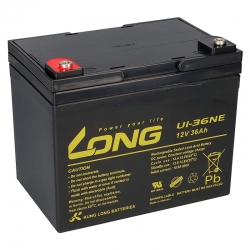 Batterie AGM LONG U1-36NE 12V 36Ah