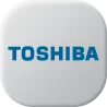Toshiba Akkus