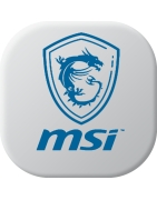 Baterías para MSI