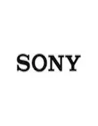 Baterias camaras de fotos y video Sony