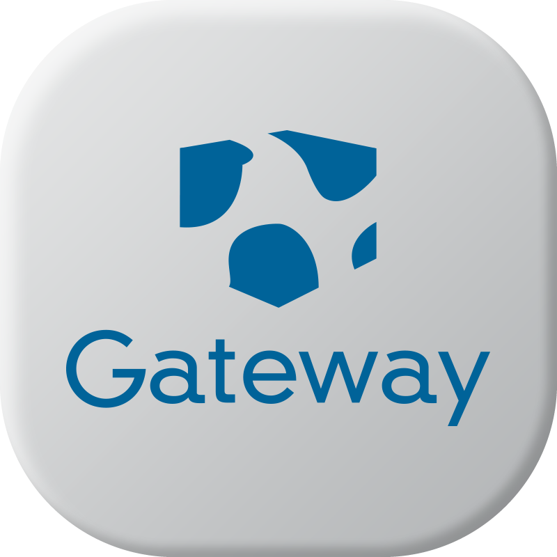 Caricabatterie e Gateway